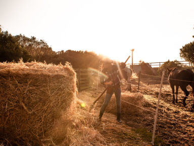 Ranch Life