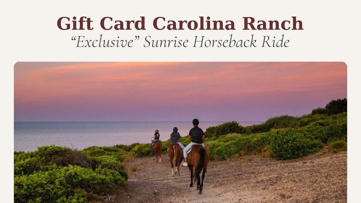 Sunrise Horseback Ride (Exclusive)