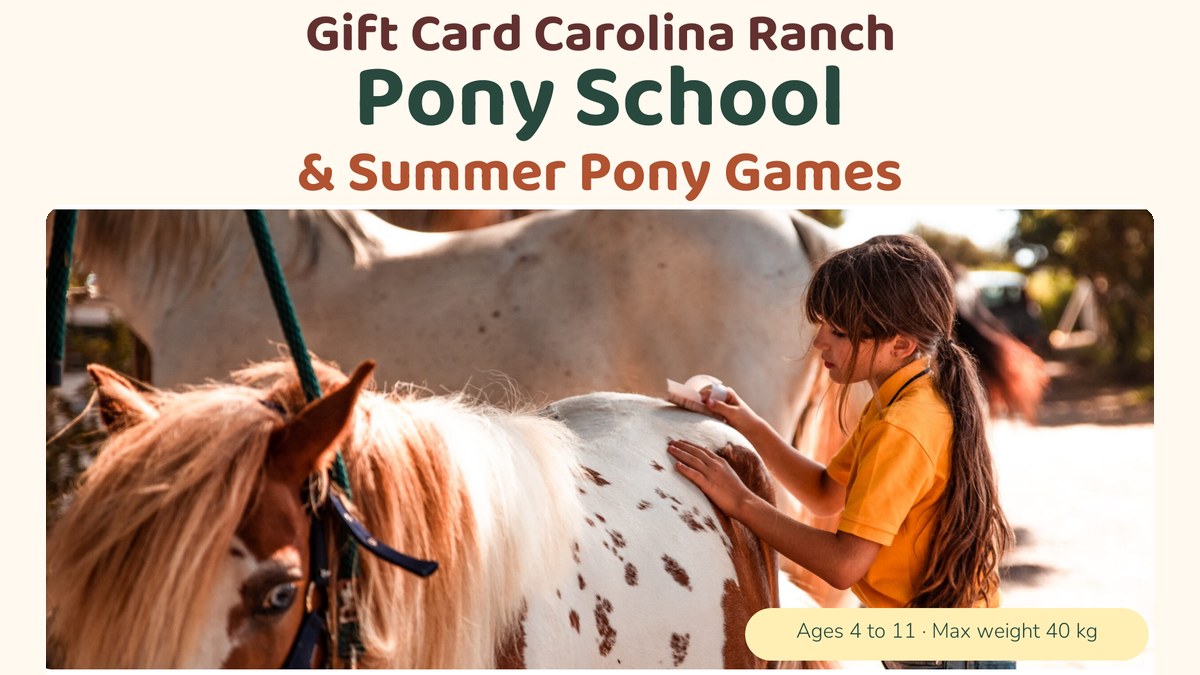 Pony School and Pony Games
