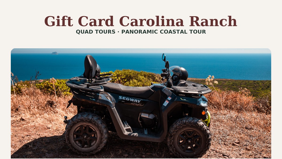 Panoramic Coastal Quad Tour
