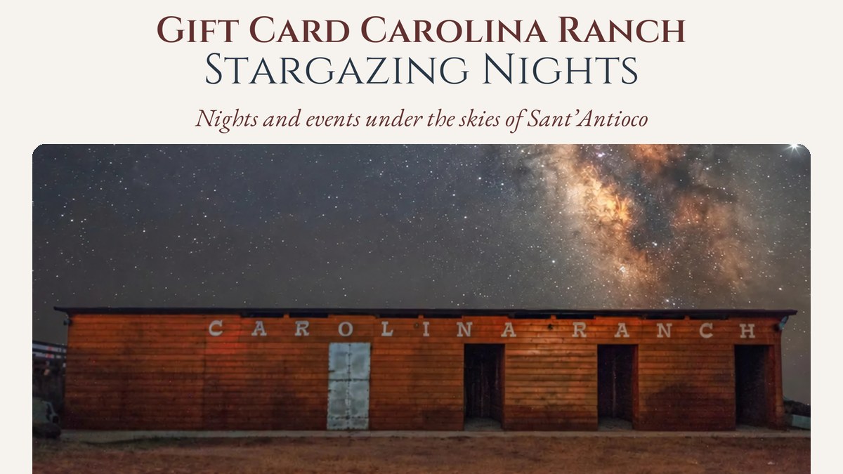 Stargazing Nights