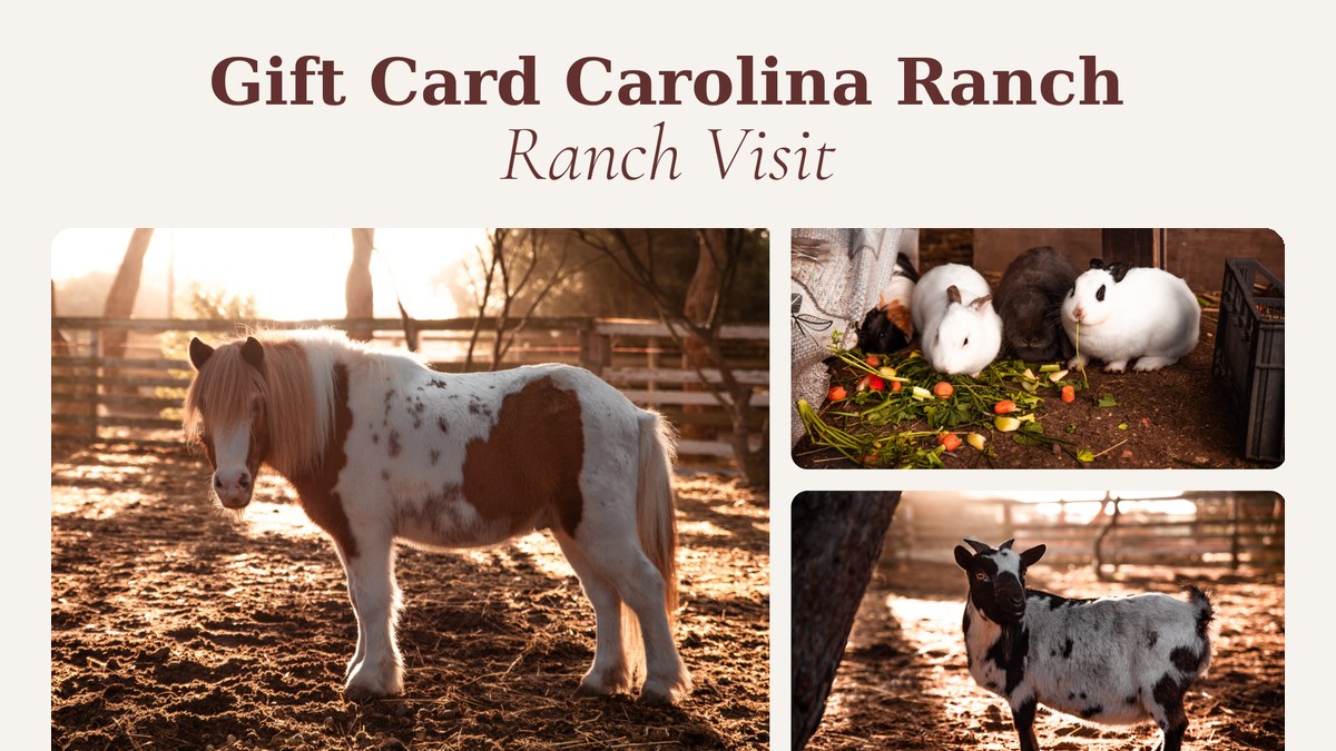 Ranch Visit